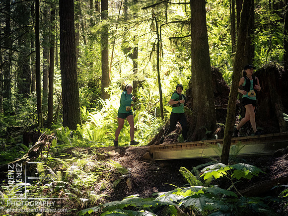 Snowden Trail Run 2026
