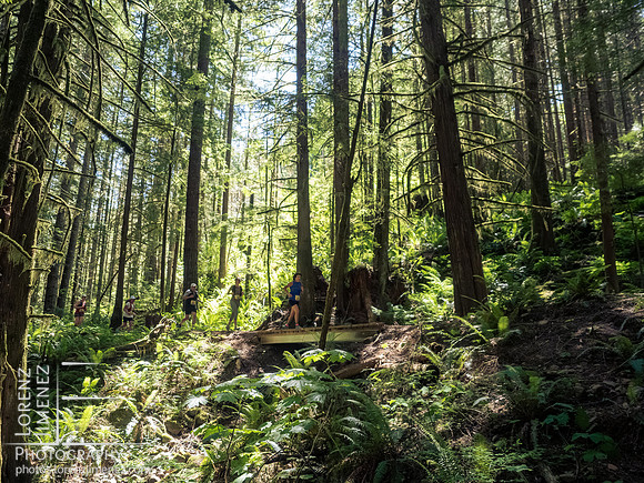 Snowden Trail Run 2026