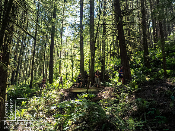 Snowden Trail Run 2026
