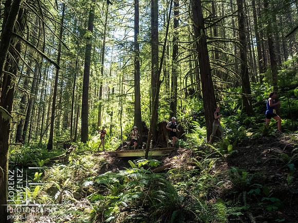 Snowden Trail Run 2026