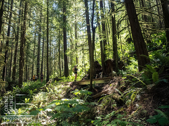 Snowden Trail Run 2026
