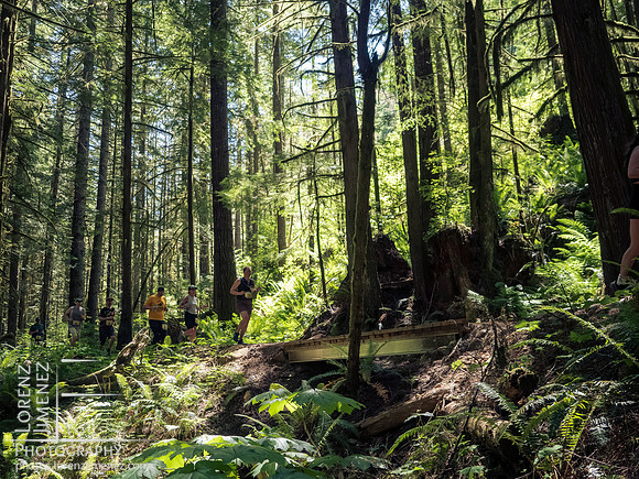 Snowden Trail Run 2026