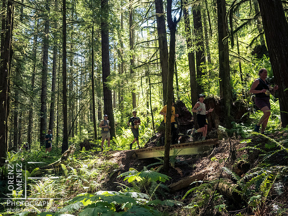 Snowden Trail Run 2026