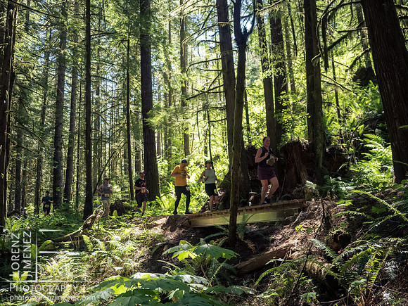 Snowden Trail Run 2026