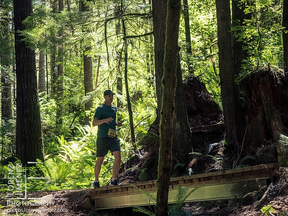 Snowden Trail Run 2026