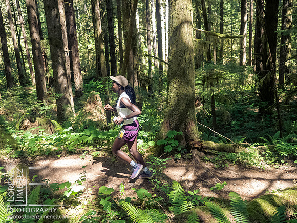 Snowden Trail Run 2026