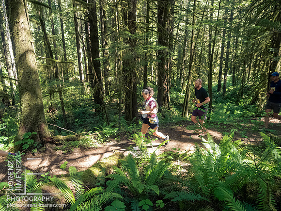 Snowden Trail Run 2026