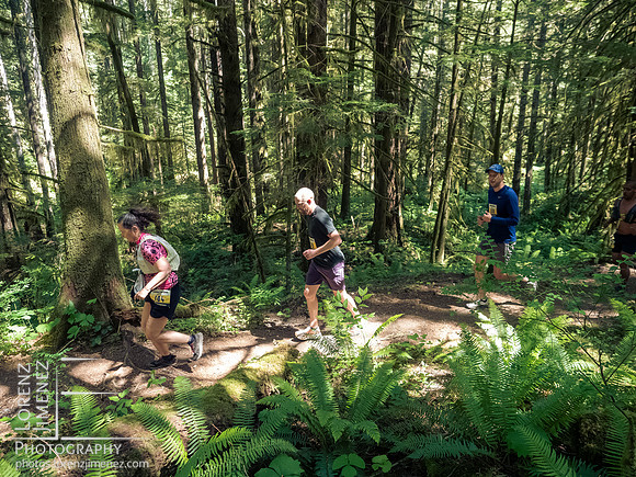 Snowden Trail Run 2026