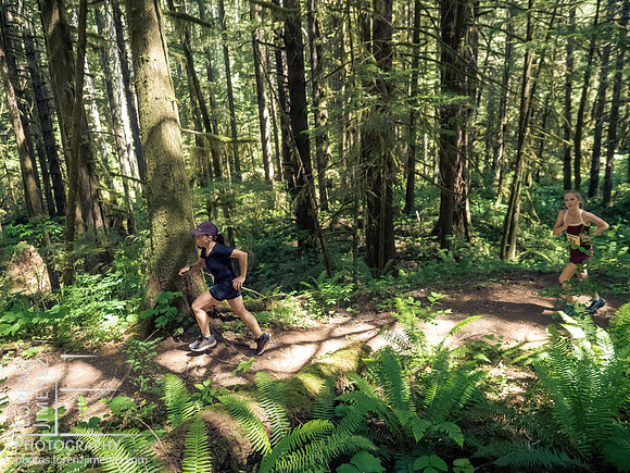 Snowden Trail Run 2026