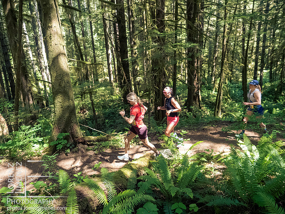 Snowden Trail Run 2026