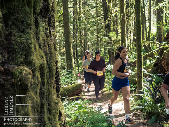 Snowden Trail Run 2026