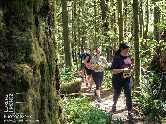 Snowden Trail Run 2026