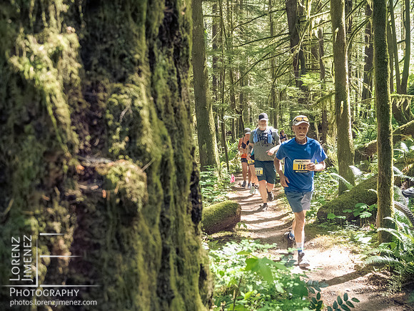 Snowden Trail Run 2026