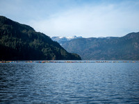 Comox Lake