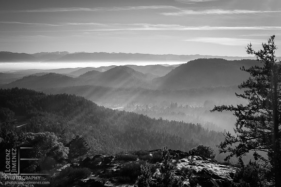View from Mount Finlayson