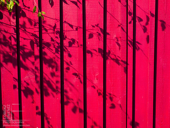 Shadow tree