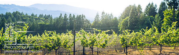 LJ_20170902-A9021731-Pano
