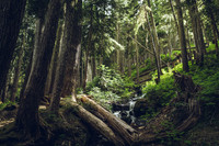 Landscape and Nature