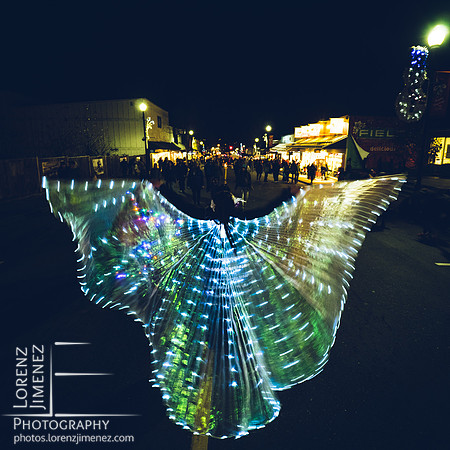 Bright butterfly
