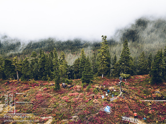 LJ_20170930-DJI_0048