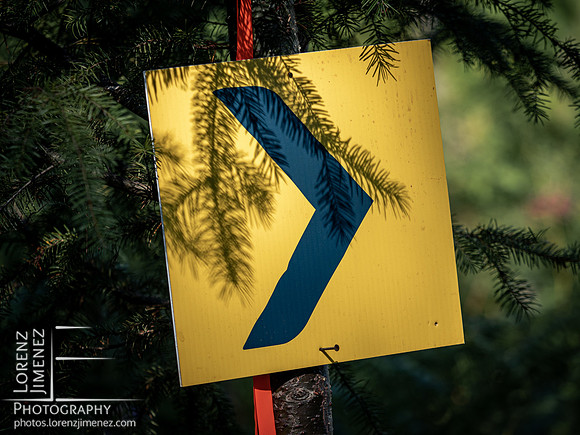 LJ_20220910-C3007860