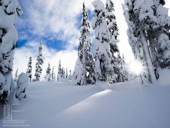 Winter light