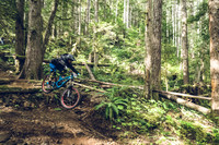 LJ_20180506-B5063159