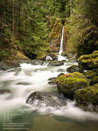 Rosewall Creek