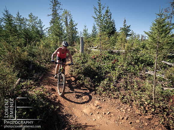 LJ_20220910-D3006947