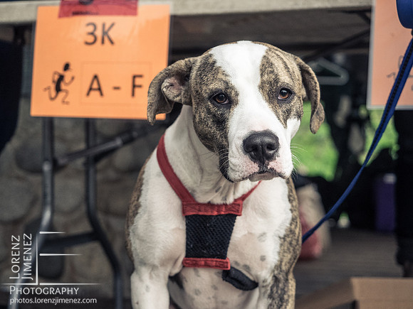 LJ_20161023-PA230601