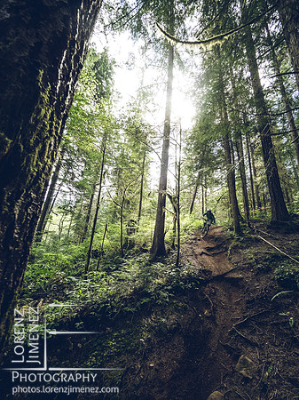LJ_20180506-B5063316