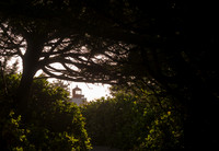 LJ_20141109-PB098089