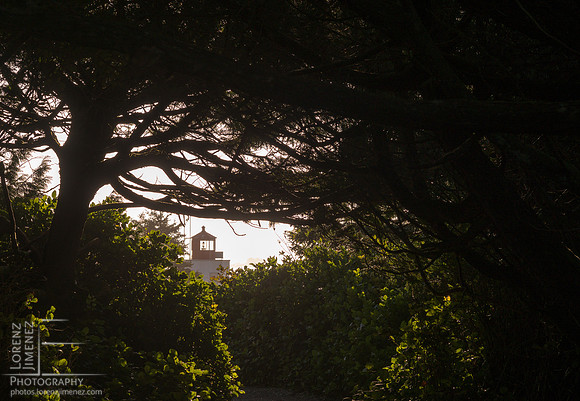 LJ_20141109-PB098089