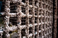 Barnacled oyster cage