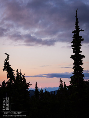 Strathcona Twilight