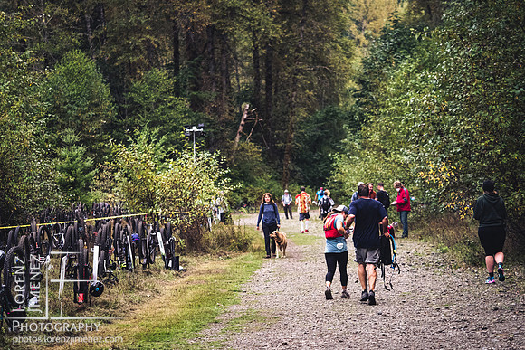 Coal Creek Historic Park Transition