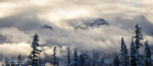 LJ_20150102-_1024124-Edit