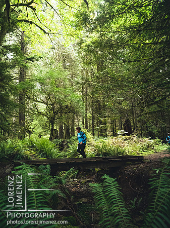 Coal Creek Historic Park Transition