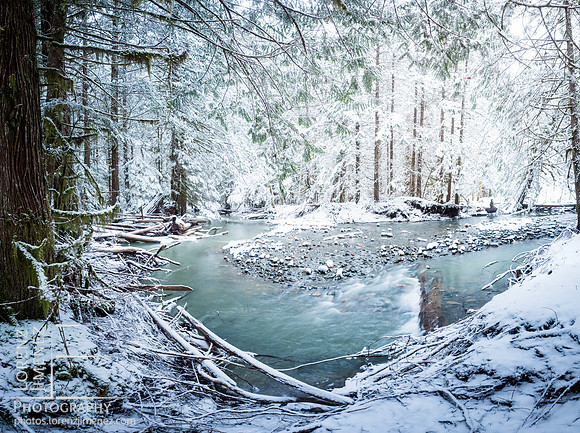 Winter at Perseverance Creek