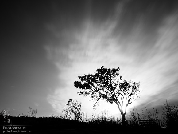 LJ_20140514-_5140409