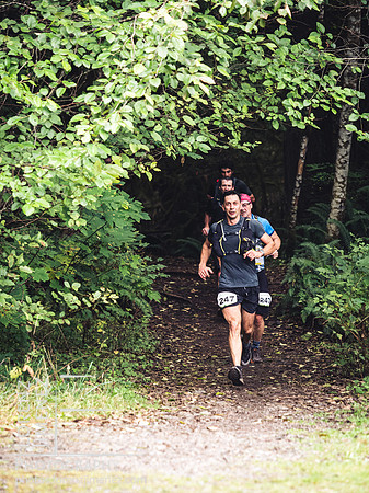 Coal Creek Historic Park Transition