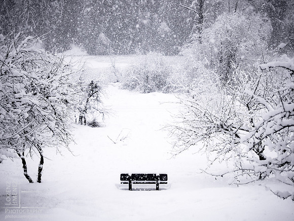 Snow