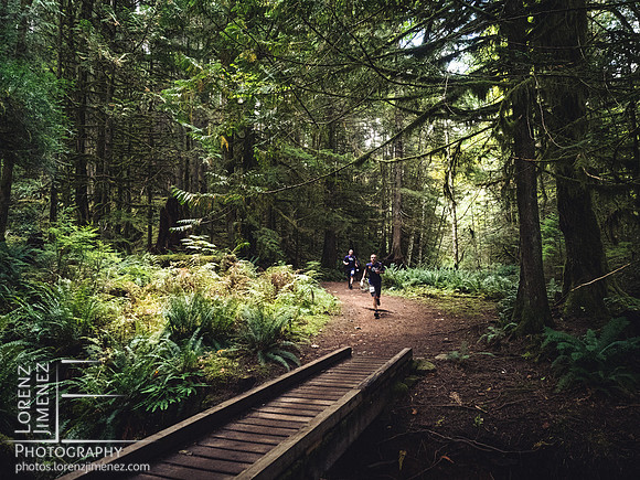 Coal Creek Historic Park Transition