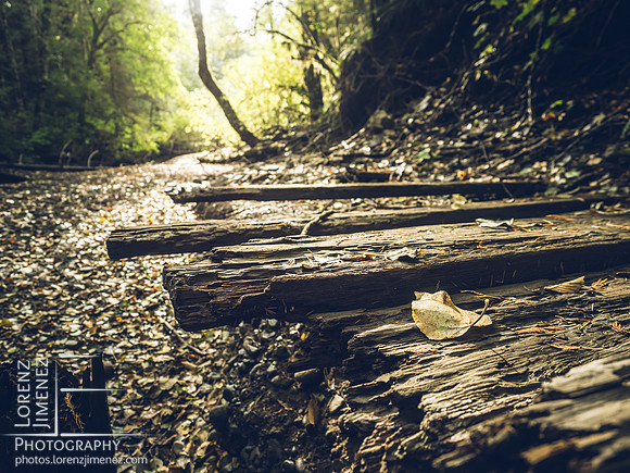 Perseverance Creek Platform
