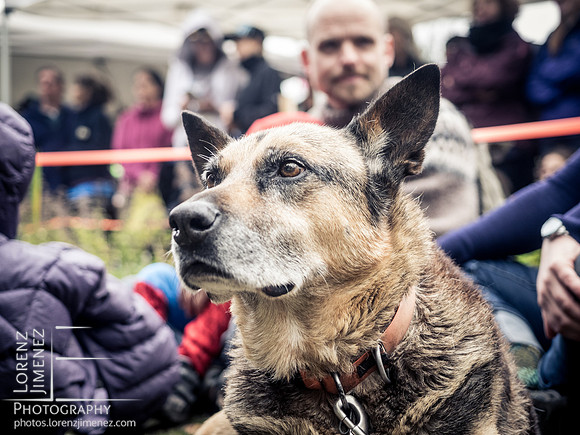 LJ_20161023-PA231490